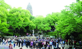 旅游服務(wù)新篇章 以品質(zhì)提升為核心，借力廣告與傳播媒體運營引客來